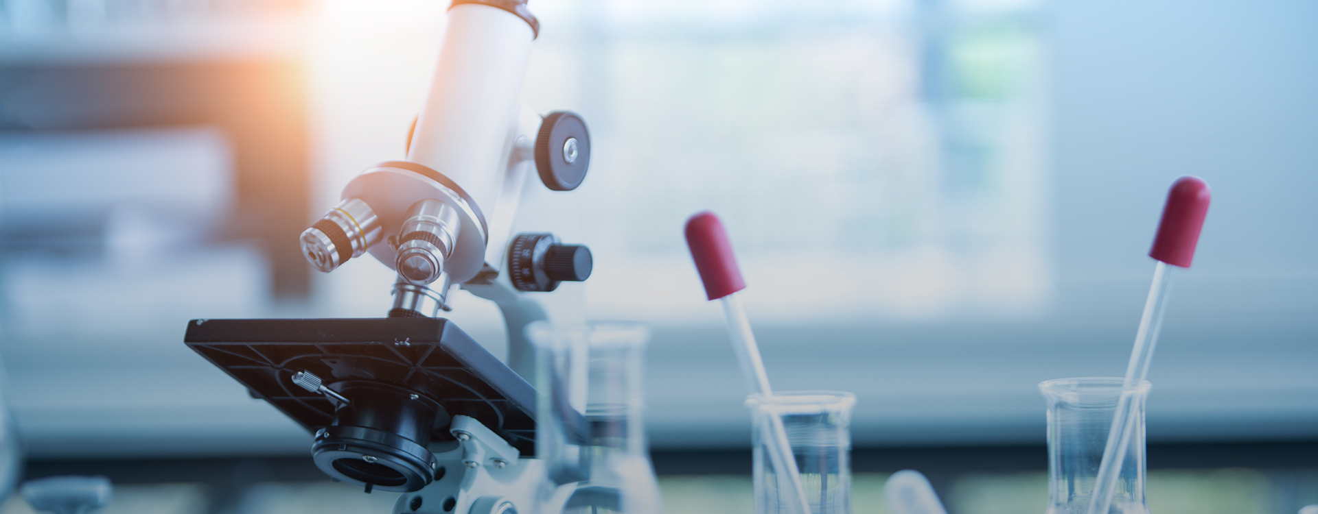 精准诊断&nbsp;&nbsp;为治疗做导航